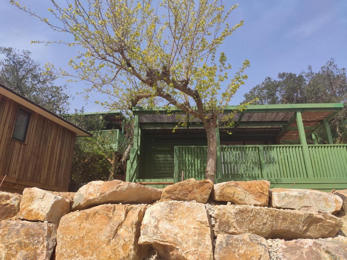 Pola Giverola Camp 또사데마르 외부 사진